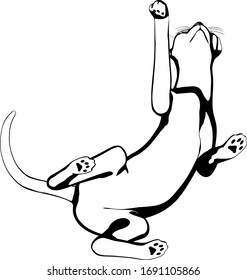 Dibujo de un gato sobre fondo blanco. Vector de silueta Sfinx