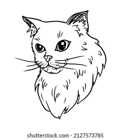 Cat sketch vector illustration isolated on white background