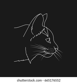 Cat sketch. White linear drawing of a cat s head isolated on black background. Vector illustration