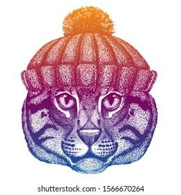 Cat. Ski, skier animal wearing woolen knitted hat. Christmas time. Cartoon character for little children. Kids print for tee