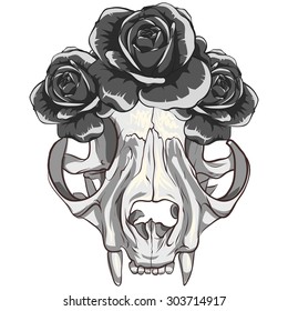 Cat skull with black roses .White background.