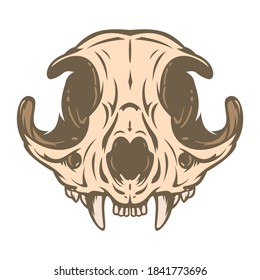 Cat skull in color hand drawn style isolated on white background. Vector cartoon illustration. Retro vintage design concept for tattoo, print, cover. 