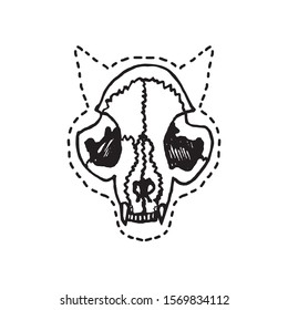 Cat skull, hand drawn doodle, sketch in gravure style, vector illustration