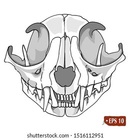 Cat skull illustration. Scary print, background, icon. Modern line art. Hand drawn vector illustration. Tattoo cat skull.