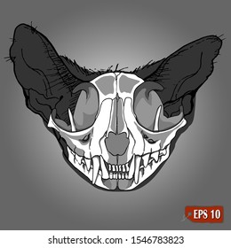 Cat skull illustration. Scary print, background, icon. Modern line art. Hand drawn vector illustration. Tattoo cat skull.