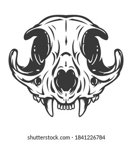 Cat skull in monochrome hand drawn style isolated on white background. Vector cartoon illustration. Retro vintage design concept for tattoo, print, cover. 