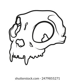 Cat skull. Tool for ritual. Gothic black and white illustration of occult witchcraft. Halloween and Day of the Dead clipart. Tattoo.