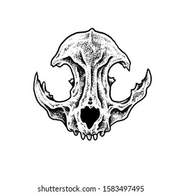 Cat Skull Vector Design Illustration Stock Vector (Royalty Free ...