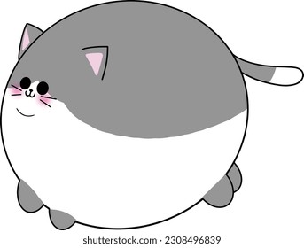 cat sky galaxy milk cute