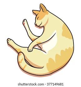 cat was sleep happy time vector