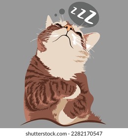 el gato duerme en una posición fresca