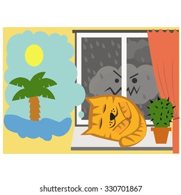 Cat sleep on the window