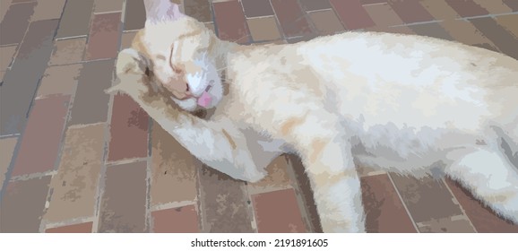 Cat sleep with sticking out tongue on the floor 