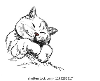 cat sleep vector sketch illustration card isolated