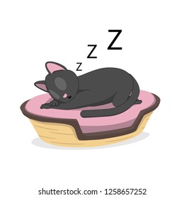 A cat is sleeping in a basket. Gray cat in a cozy basket.