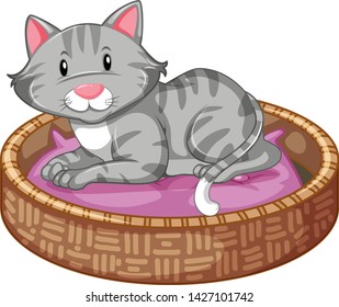 Cat sleeping in the bed illustration