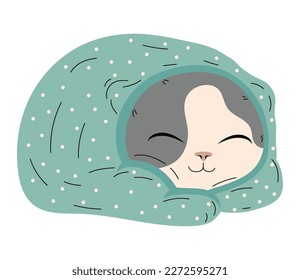 gato durmiendo con carácter de manta azul