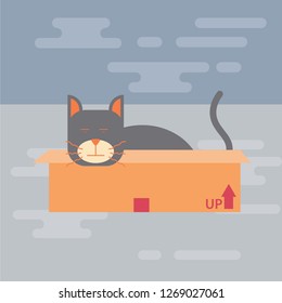 cat sleeping in the box. flat design animal vector illustration.