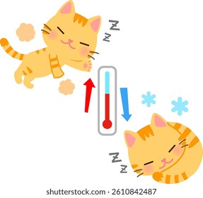 A cat sleeping curled up and a cat sleeping stretched out