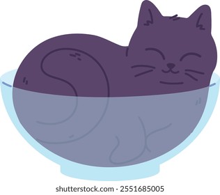 Cat sleeping in glass bowl. Comfortable cozy animal isolated on white background