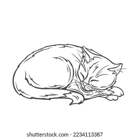 Cat sleeping line icon vector illustration. Hand drawn outline funny sleepy animal character lying to sleep and relax in nap time, cute adorable cat with fur, happy asleep face and claws on paws