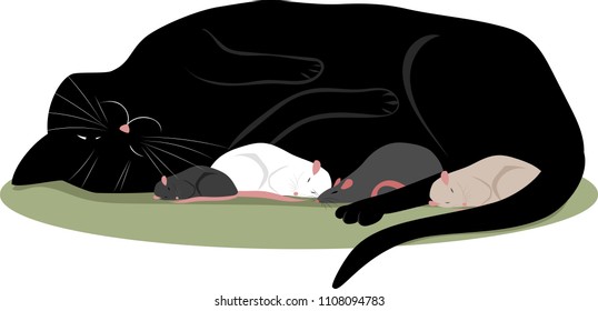a cat sleeping with a mouse