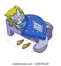 cat sleeping on the bed