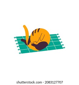 A cat sleeping on a carpet. Simple vector flat childish illustration