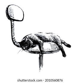 Cat sleeping on a chair. Line drawing