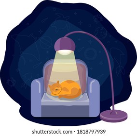 gato durmiendo en el sofá y soñando