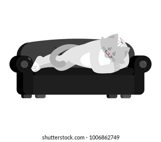 Cat sleeping on couch. Pet asleep emotions. kitty dormant. Vector illustration