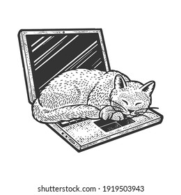 cat sleeping on laptop sketch engraving vector illustration. T-shirt apparel print design. Scratch board imitation. Black and white hand drawn image.