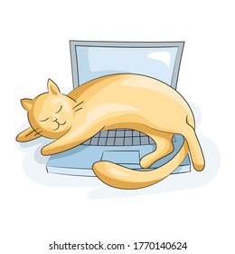 The cat sleeping on laptop. Vector illustration.