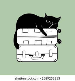 Cat Sleeping on Luggage Stack