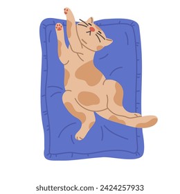 Cat sleeping on pillow. Kitty relaxing in pet bed, asleep fluffy pet, sleeping cat on cozy cushion flat vector illustration. Cute domestic pet on white