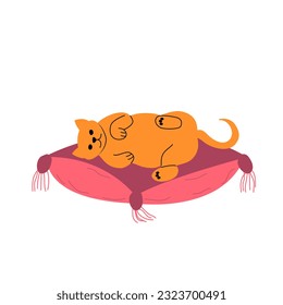 Cat sleeping on pillow. Sleepy relaxed feline animal lying on pet cushion. Cat resting on cozy comfortable pillow. Colored flat vector illustration isolated on white background