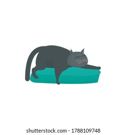 Cat. Cat sleeping on a pillow, vector illustration