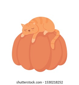 Cat sleeping on the pumpkin, cute vector illustration on white background