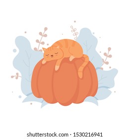 Cat sleeping on the pumpkin in the garden, cute vector illustration