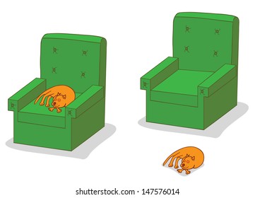 cat sleeping on sofa