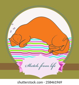 Cat sleeping on a striped rug, label on a white  circle. Hand drawn.