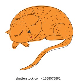 die Katze schläft auf weißem Hintergrund
