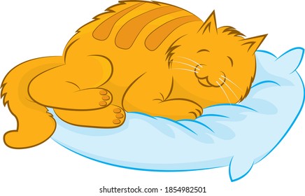 The cat sleeping peacefully on the pillow