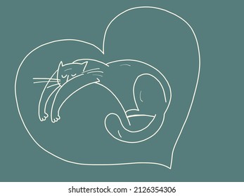 Die Katze schläft. Das Haustier ruht. Gerölltiere