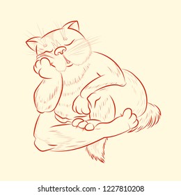 Cat sleeping, supports his head with his paw. The color of the cat is dark orange. Milky background.