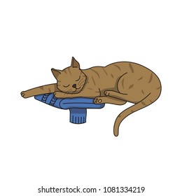 Cat sleeping. Vector illustration