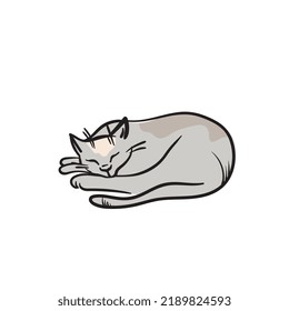 El gato duerme en una pelota. Esbozo vectorial de mano libre.