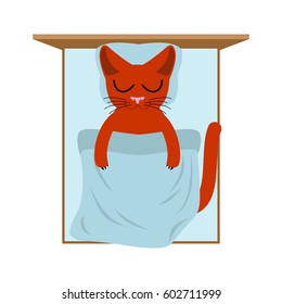 Cat sleeps in bed. Pillow and blanket. 