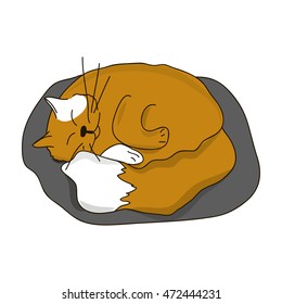 Cat sleeps curled up isolated on white background. Vector illustration