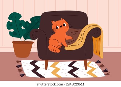 Cat sleeps in living room. Cute red kitten sitting in chair with blanket. Funny little pet in cozy apartment interior. Playful animal in sofa. Carpet and houseplant